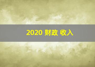 2020 财政 收入